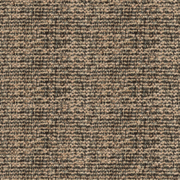 東京シンコール-クール-MC