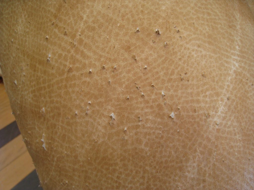 alt="希少な芸術家のソファの修繕"