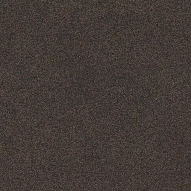 t-sincol-l-amande-DBR