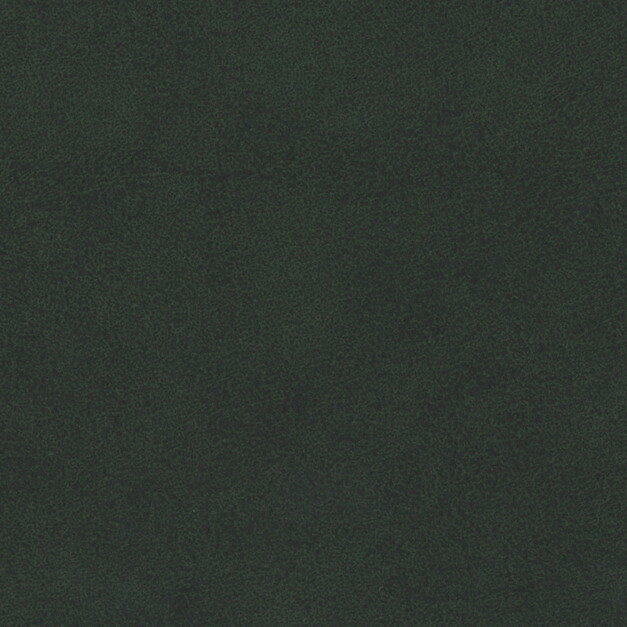 t-sincol-l-amande-GN