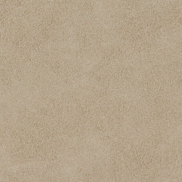 t-sincol-l-amande-IV