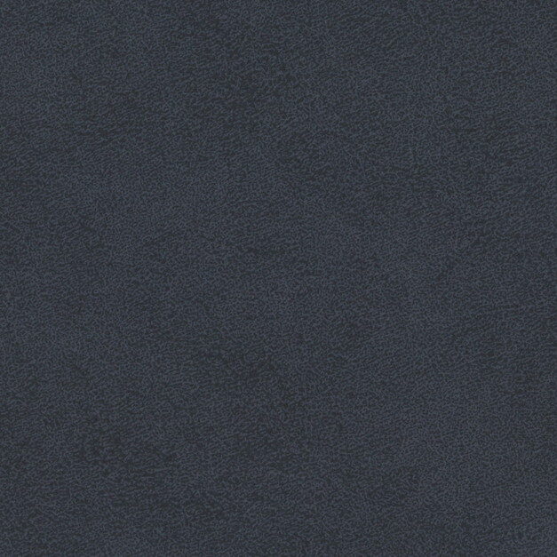 t-sincol-l-amande-NV