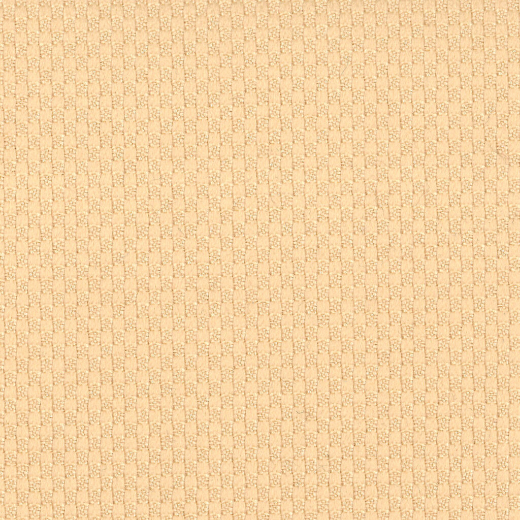 t-sincol-large_emoa_atena2_AT-10