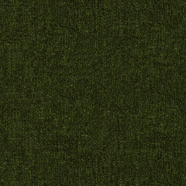 t-sincol-large_emoa_jennifer_gn