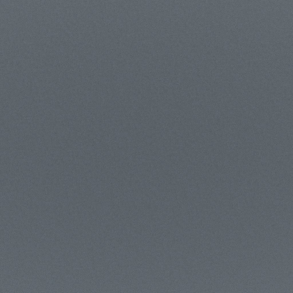 マナトレーディング-ランチ-03-Petrol