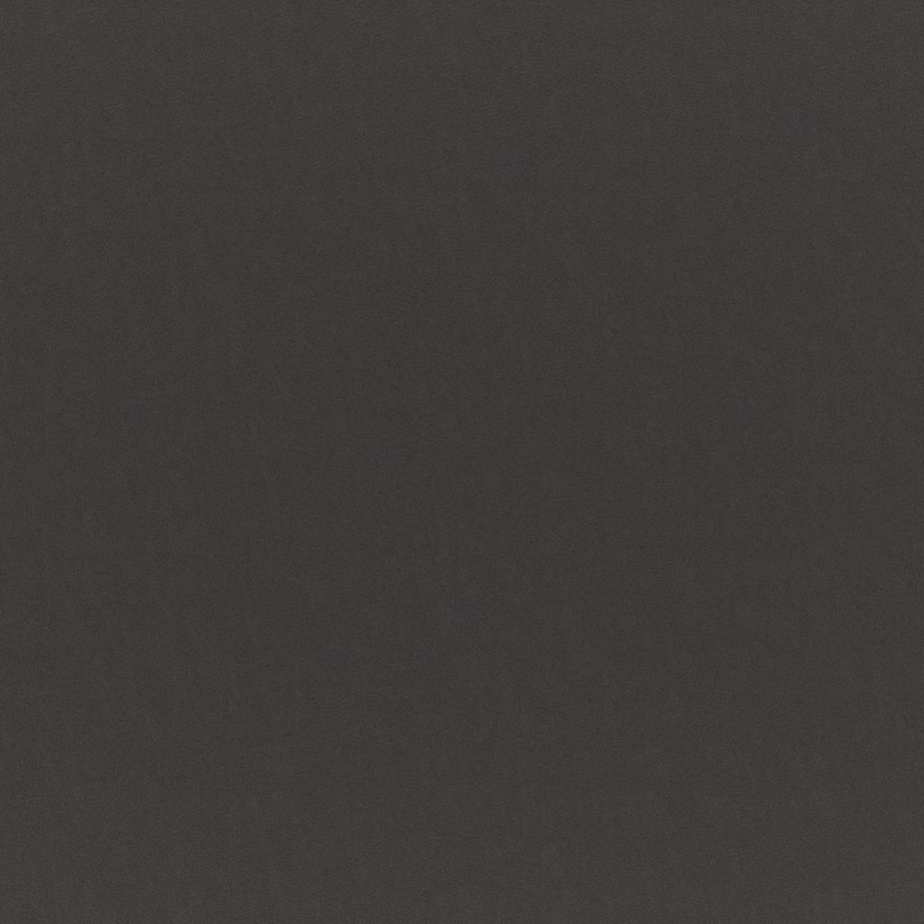 マナトレーディング-ランチ-09-Ebony