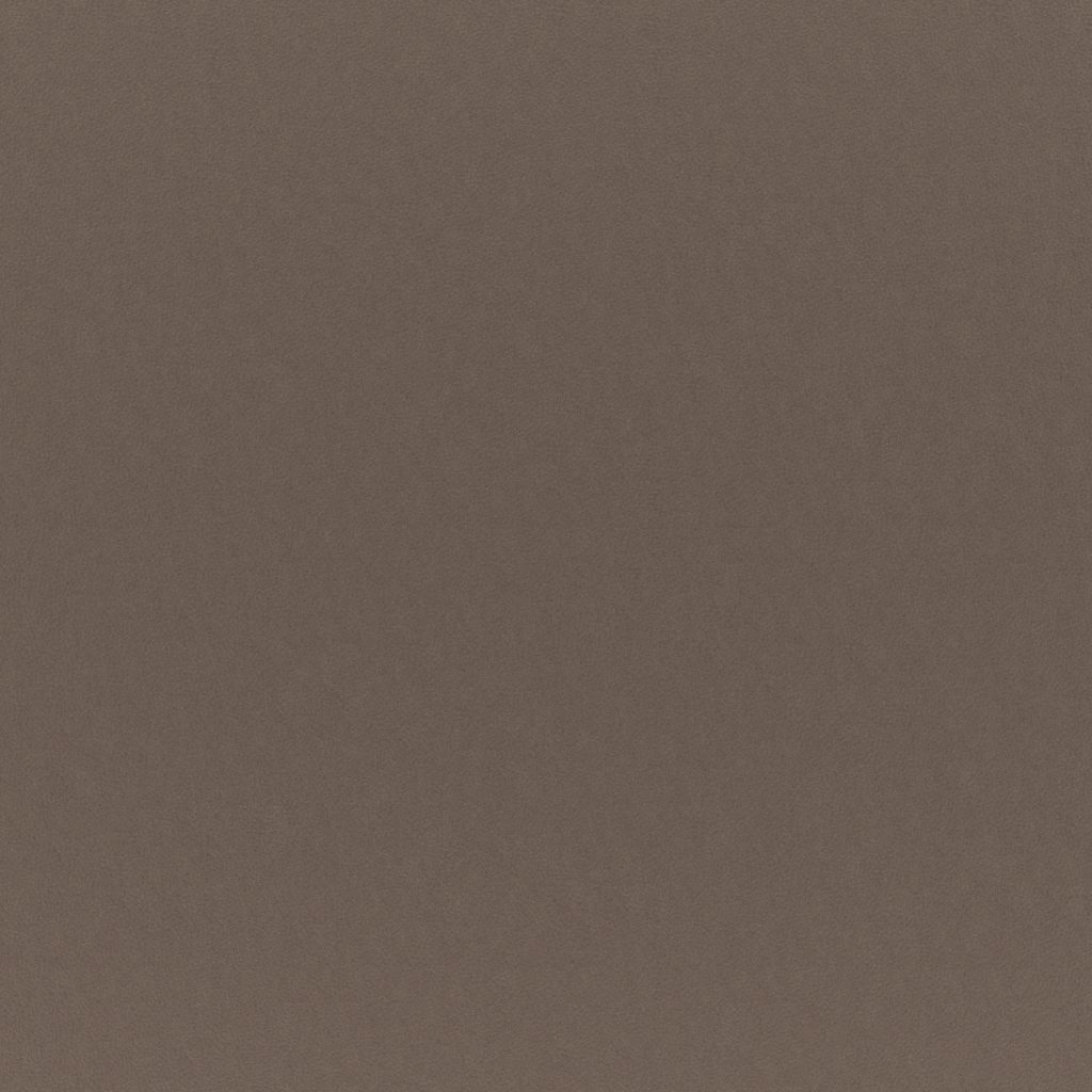 マナトレーディング-ランチ-11-Bark