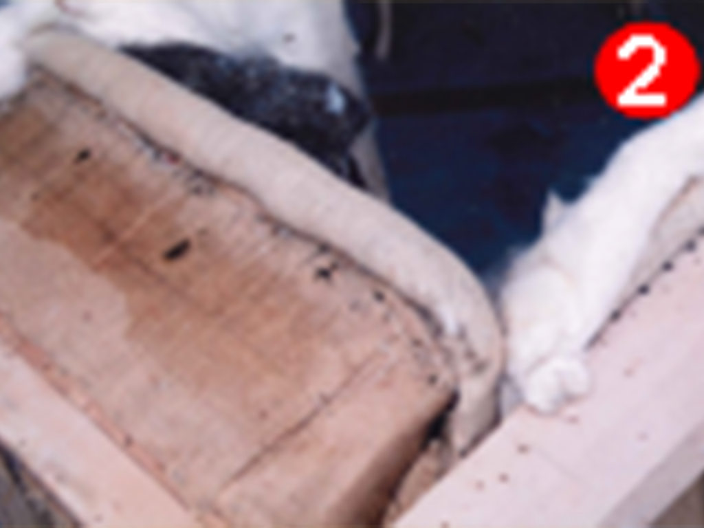 alt="白洲次郎さんとの出会い"