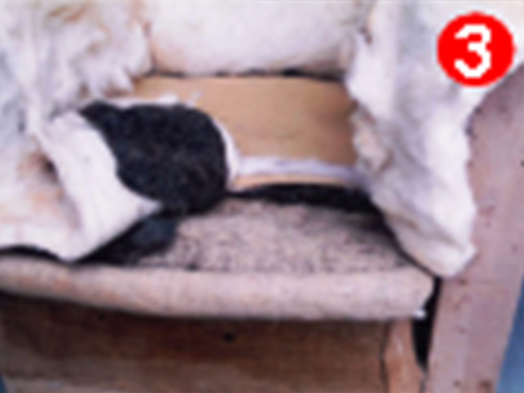 alt="白洲次郎さんとの出会い"